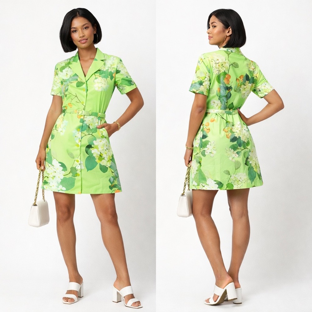 Leo Lin Brigitte Mini Dress Hydrangea Lime Green Belted Cotton Size 6 US
